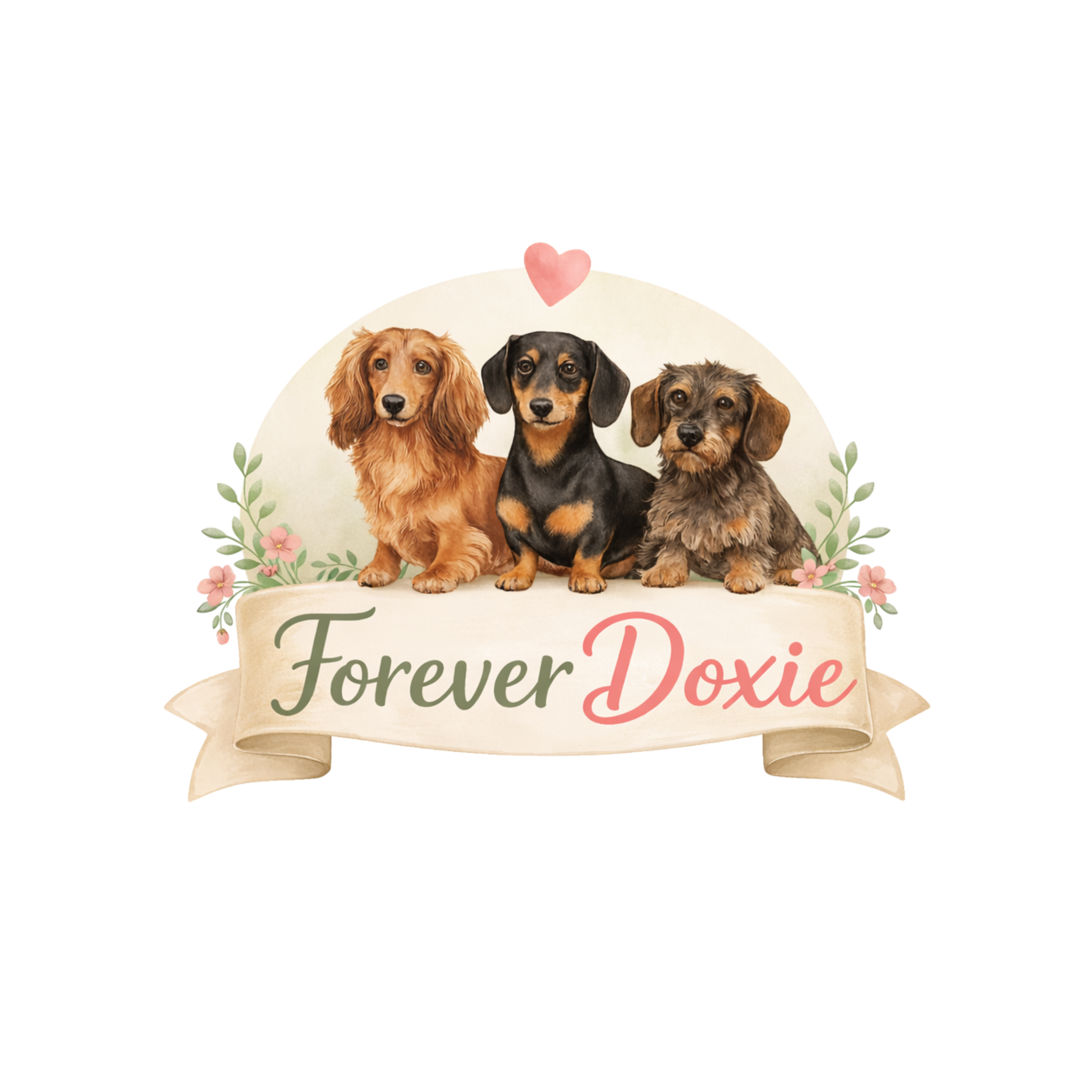 Email sign-up background